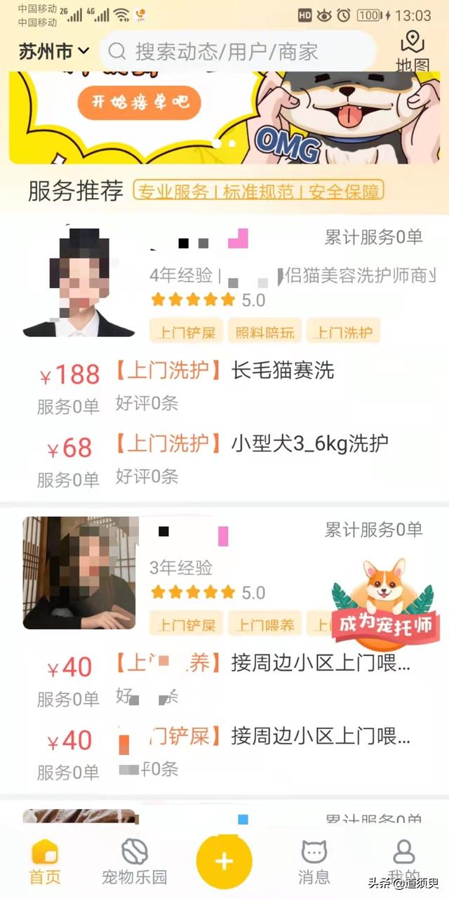 中国宠物商机网官方网:开宠物美容店有发展前景吗？