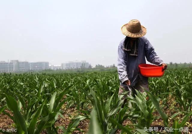 六十年代生产队鬼怪故事，生产队时期，生产队的妇女队长是干什么的