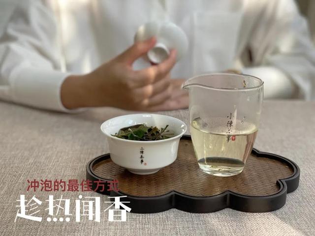 如何根据香气来判断白茶的品质？