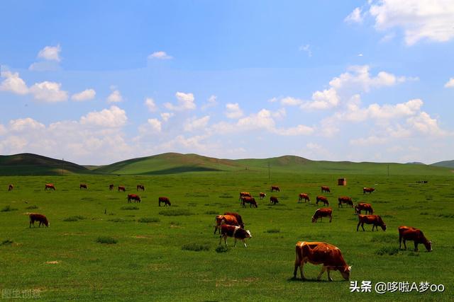 蒙古包的资料作文:住蒙古包时，遇到过最尴尬最害羞的事情是什么？
