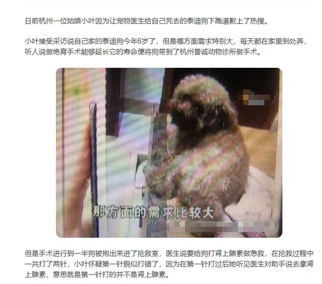瑞典腊肠犬有出售吗:哪里可以买到优质的捷克狼犬？