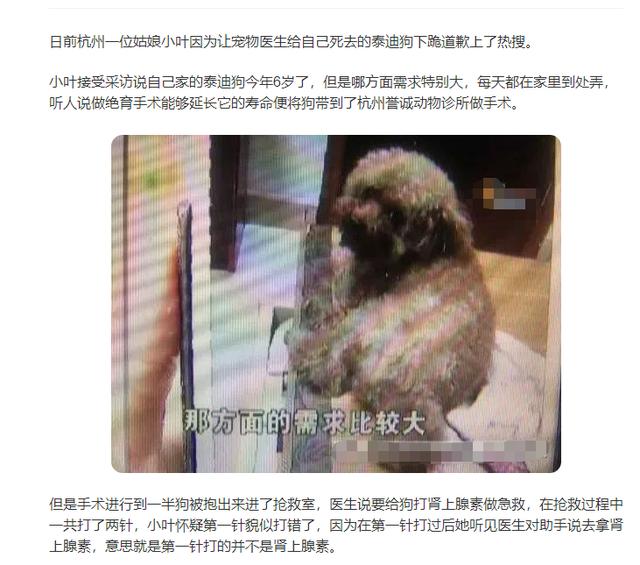 申生宠物医院母狗绝育:母狗是否有必要为了避免子宫蓄脓而去做绝育手术？