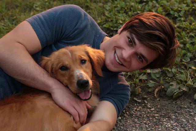 大家听过或经历过最感人的动物报恩的故事是什么？插图8