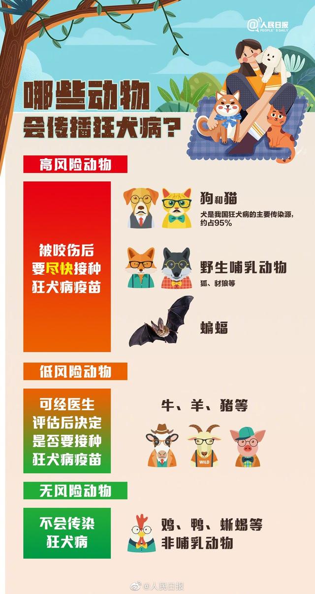 狂犬病的预防措施论文:狂犬病是什么病理？为什么一发作就不可逆转？