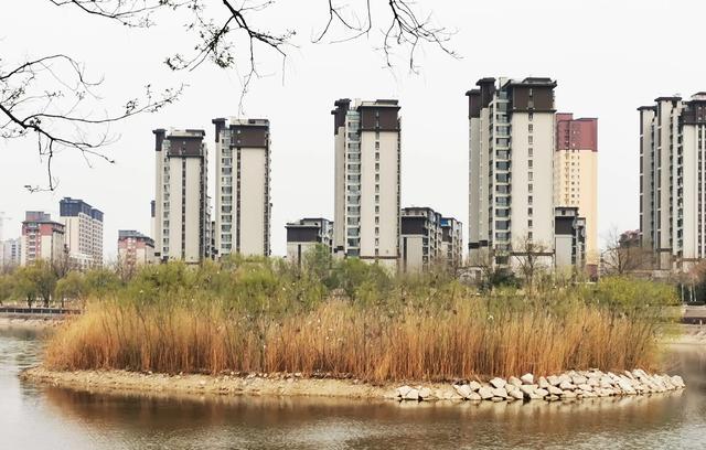 临沂是一座怎样的城市？