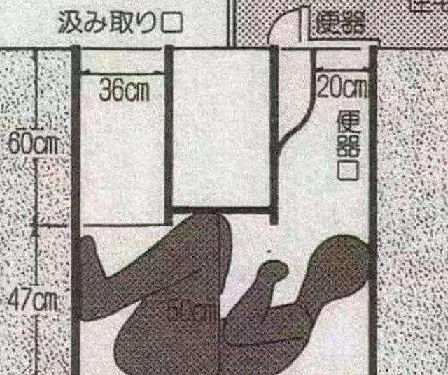 便溺是什么意思:蹲厕是中国的特色吗？为什么别的国家都只用马桶？