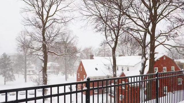 纽约时装学院相当于中国什么等级的大学？