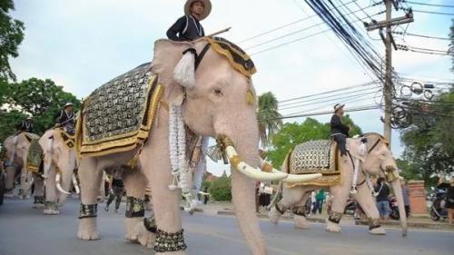 去泰国玩7天，需要花费多少钱？这些“问题”要提前知道