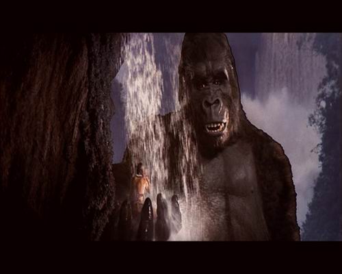 1933-1976-2005——《金刚》演化史