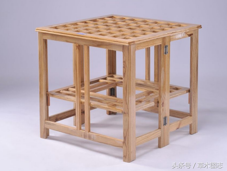 桑树和梓树的寓意_梓树是什么树图片