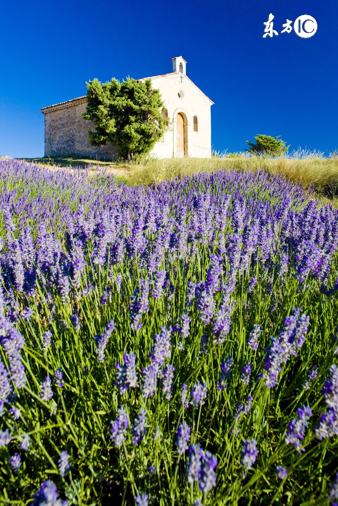 世界闻名的旅游地点_世界上最有名的旅游地点 - 密云旅游