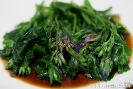 野葛菜的功效降血压的野菜有哪几种