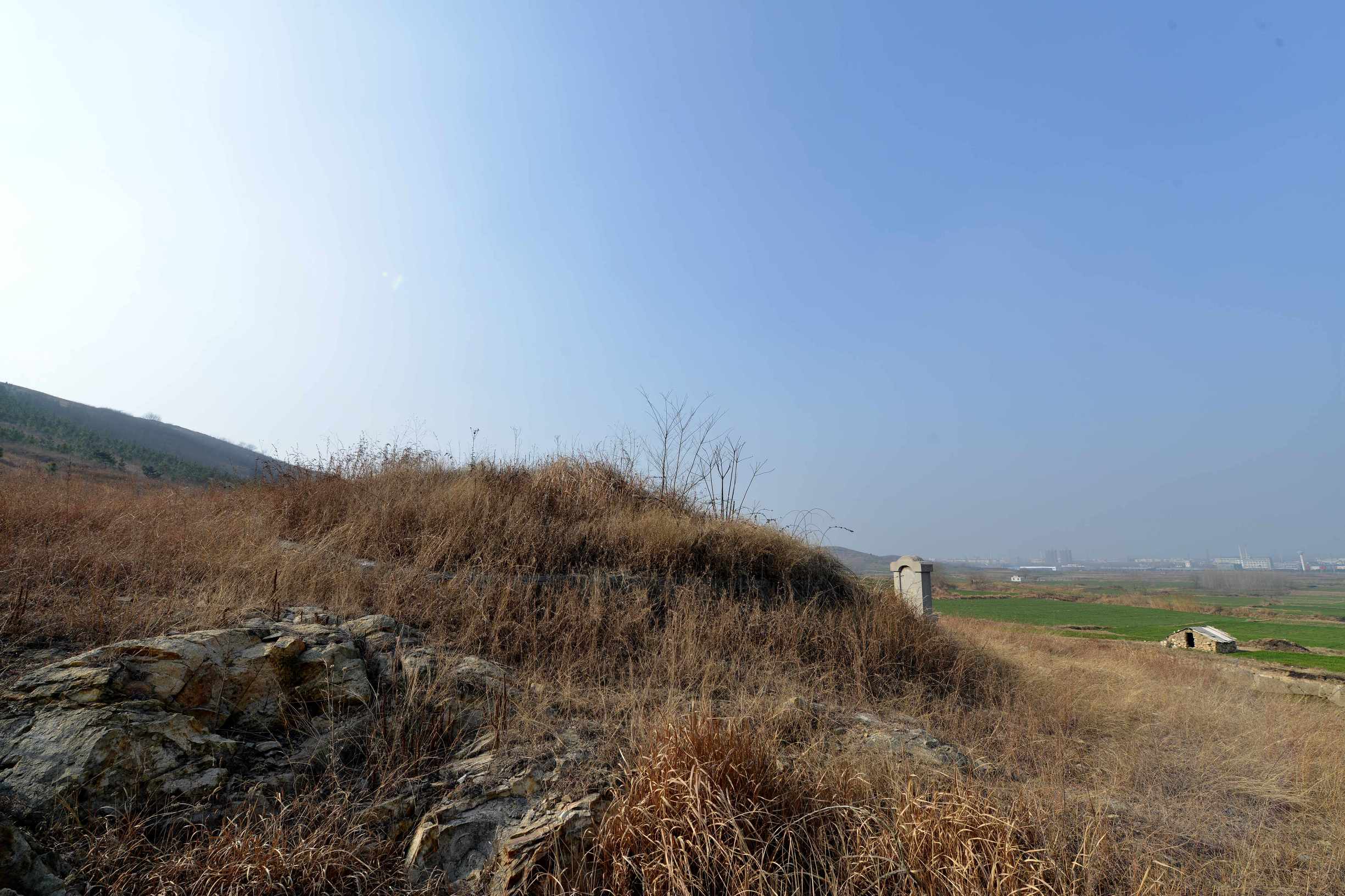 钟子期墓是怎么发现的