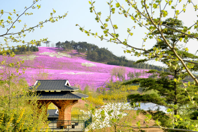 大連旅遊景點推薦:旅順植物園