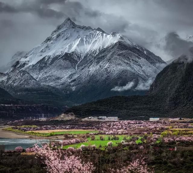 西藏处处是美景，但这个季节最美的是林芝！