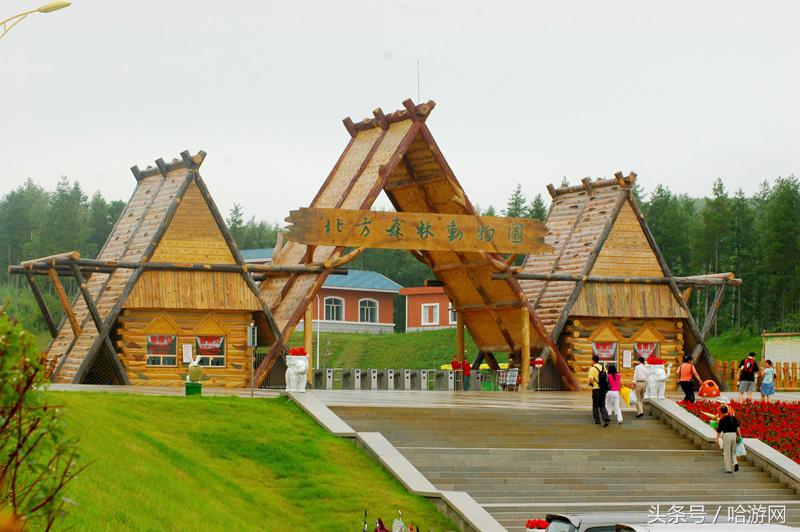 清明小长假,哈尔滨这些旅游景点可以参考哦