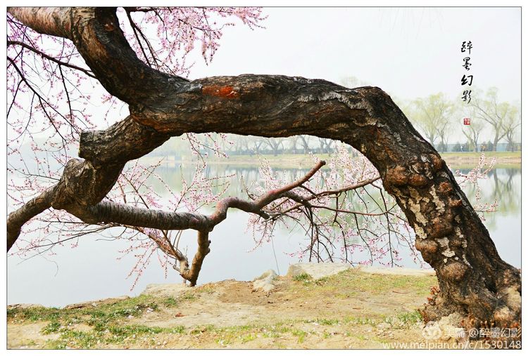 最是一年春好处 绝胜烟柳是西堤