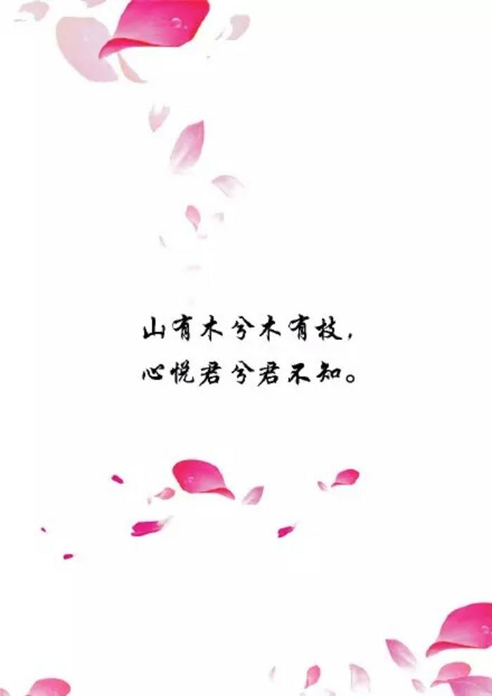 诗经中唯美句子_诗经名句唯美