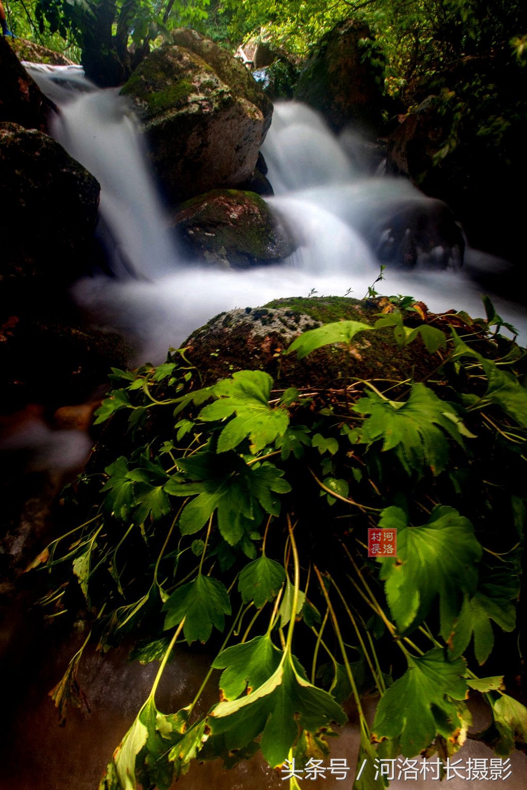 山涧溪水潺潺是什么意思山涧溪水潺潺流的意思
