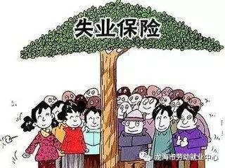 关于失业保险参保缴费明细申报的通知