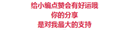 哈尔滨20日开通网上预选车号业务，5万个号随意选｜早安，哈尔滨！