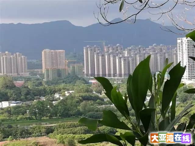 登虎头山公园,观大亚湾绝美景色!