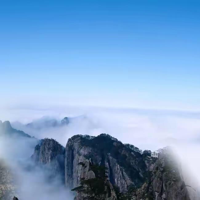 沁园春雪诗意_沁园春新年抒怀