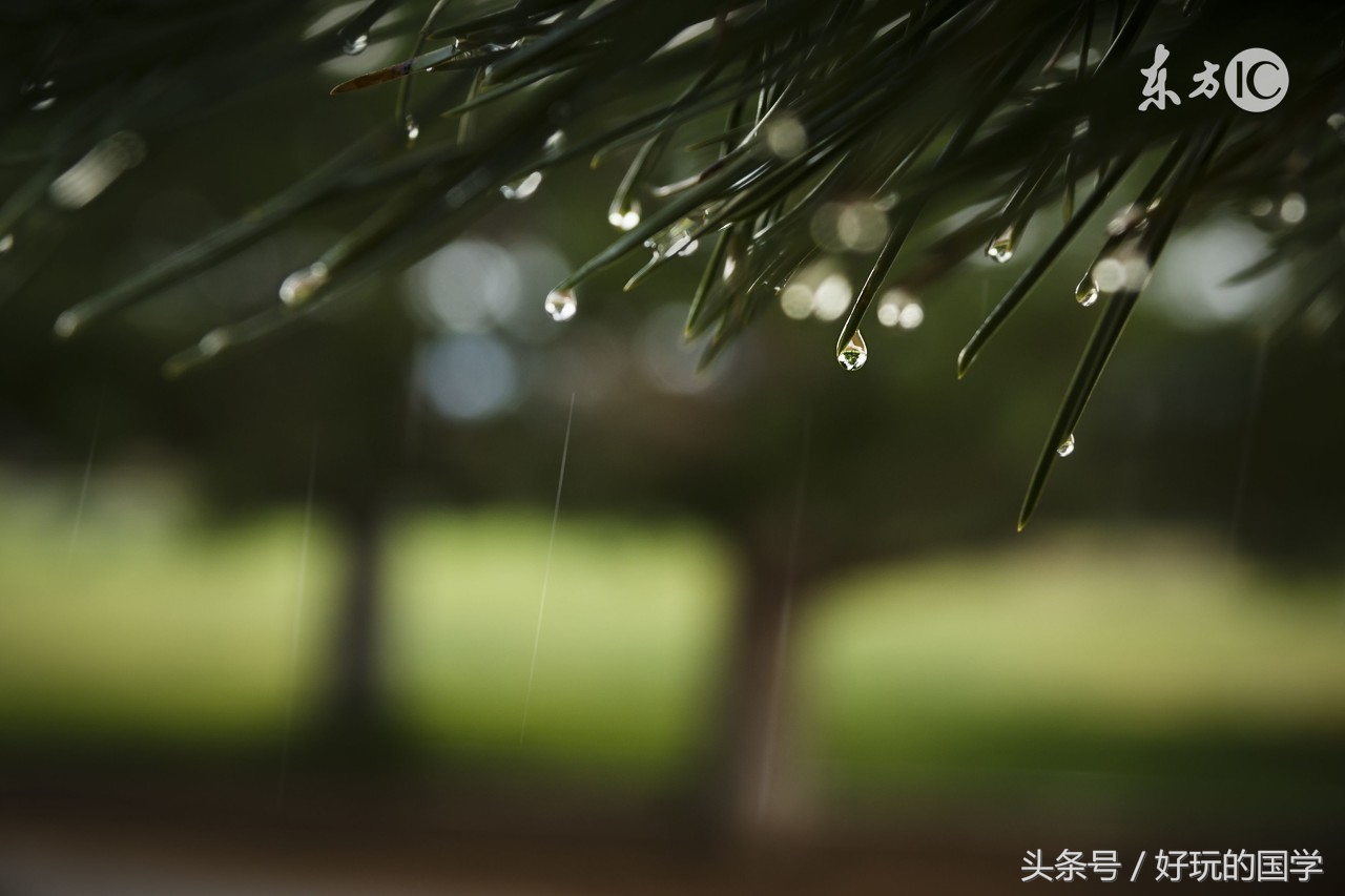 黄梅时节家家雨下一句诗是什么_黄梅时节家家雨后一句是什么