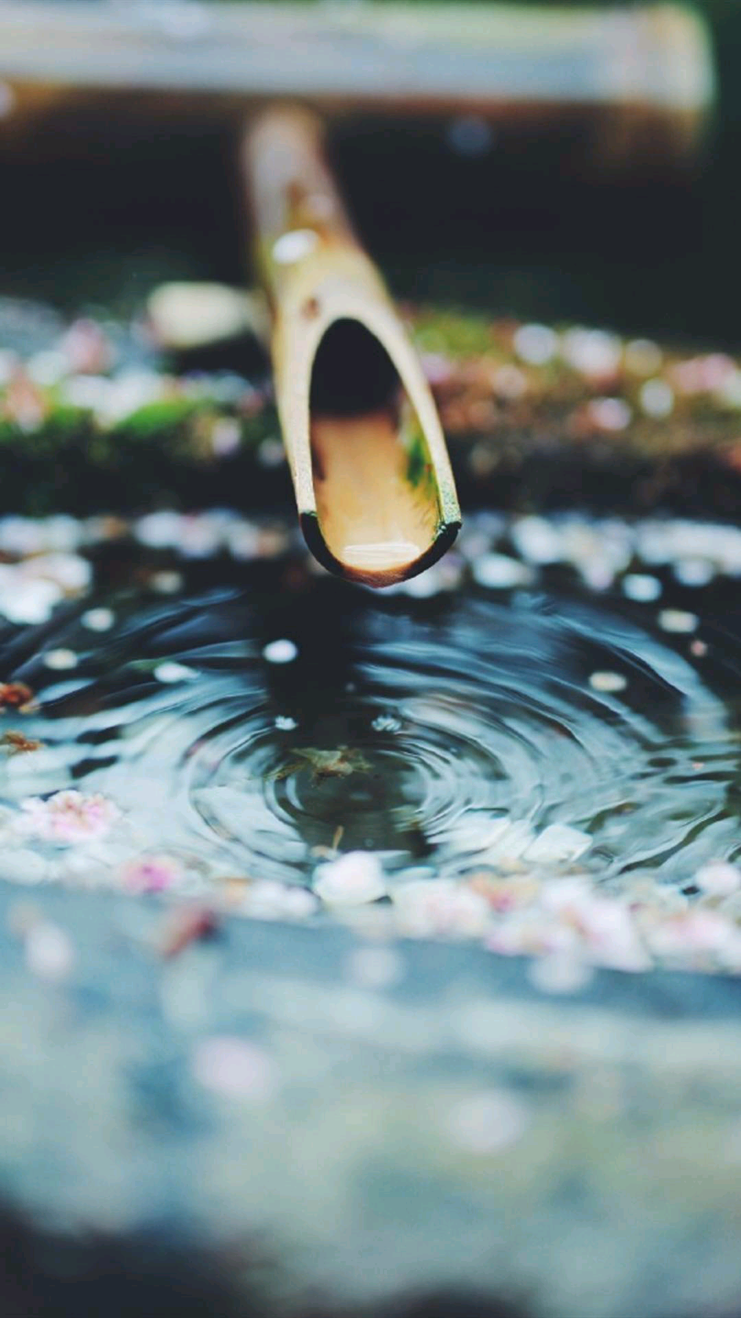 〈风景壁纸〉很有意境的一组图 山光悦鸟性,潭影空人心