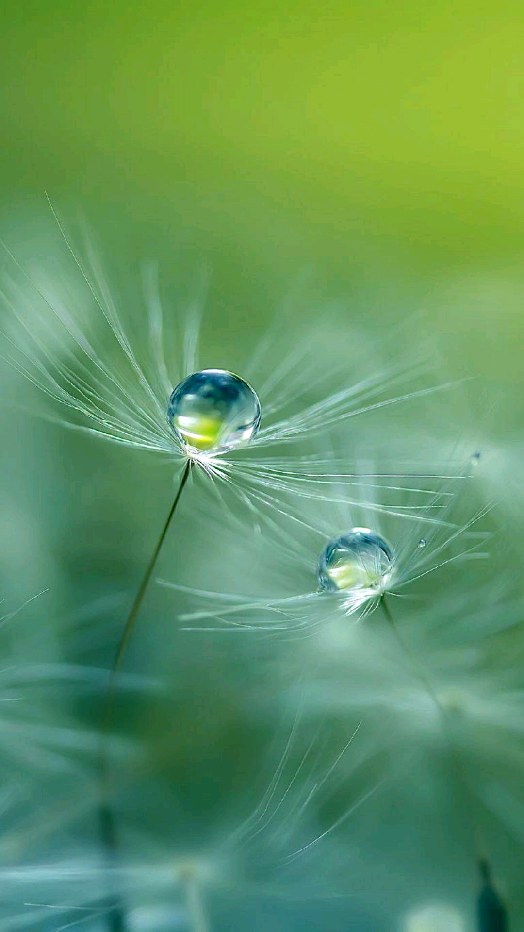 〈风景壁纸〉很有意境的一组图 山光悦鸟性,潭影空人心