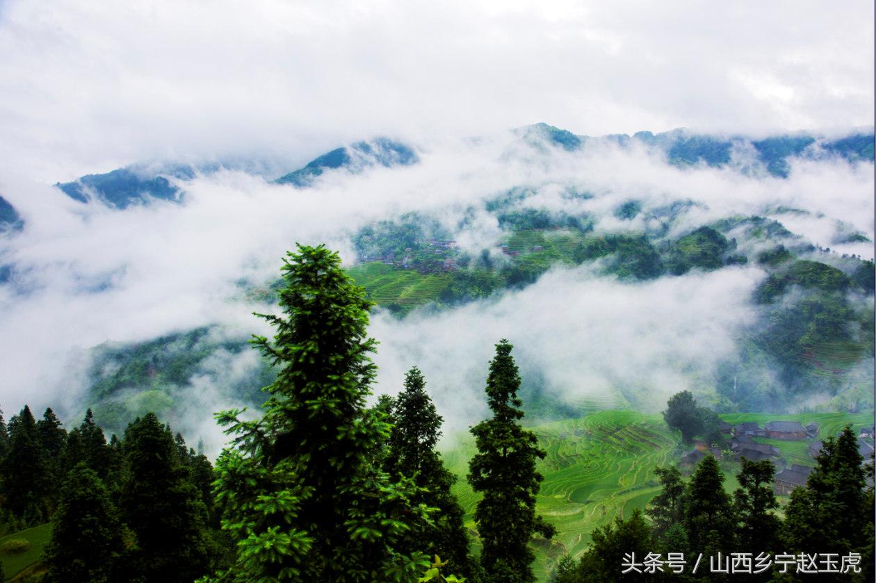 雾霭缭绕 宛如仙境_雾气缭绕的人间仙境 - 云林新闻励志网