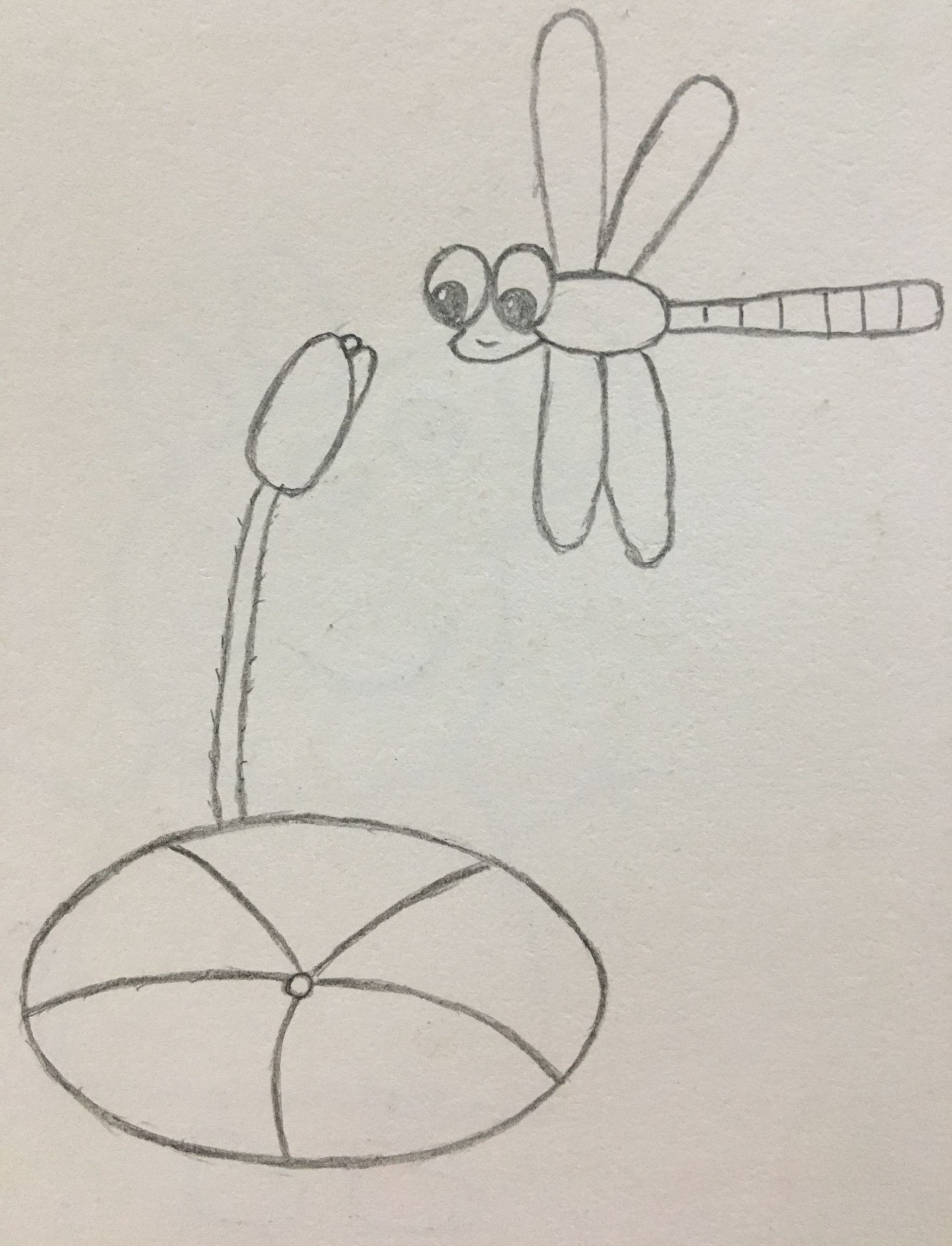 荷塘蜻蜓绘画图片大全图片
