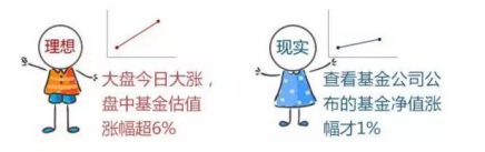 基金净值有什么用呢？