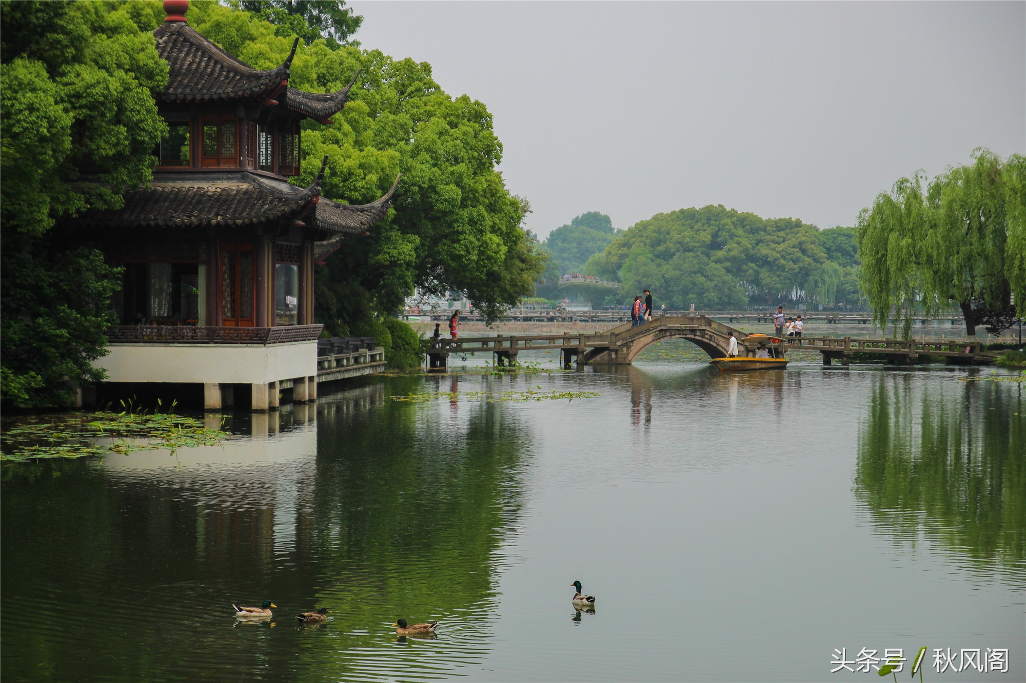 西湖风景天下闻名在曲院风荷我们吟诵着什么_杭州曲院风荷景点介绍