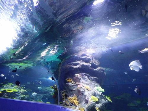 山东聊城水上古城_聊城深海乐园 - 密云旅游