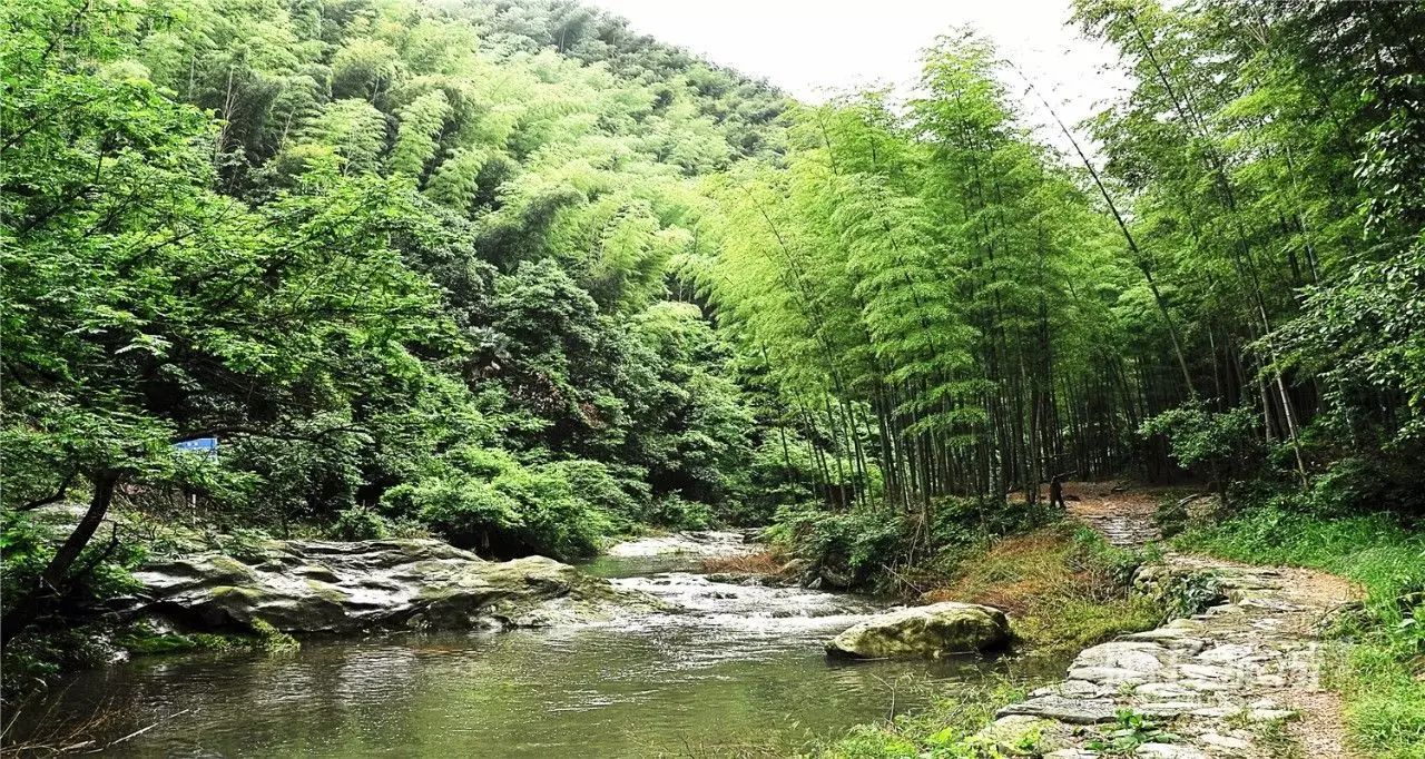 國家aaa級旅遊景區| 寧波市餘姚市大隱鎮芝林村| 自駕車線路:滬杭甬