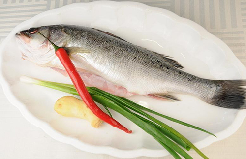 浙米道丨海鲈鱼和淡水鲈鱼 哪个更美味？