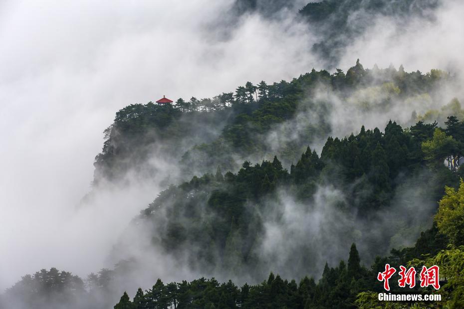江西庐山现壮观云海 云雾缭绕如梦如幻