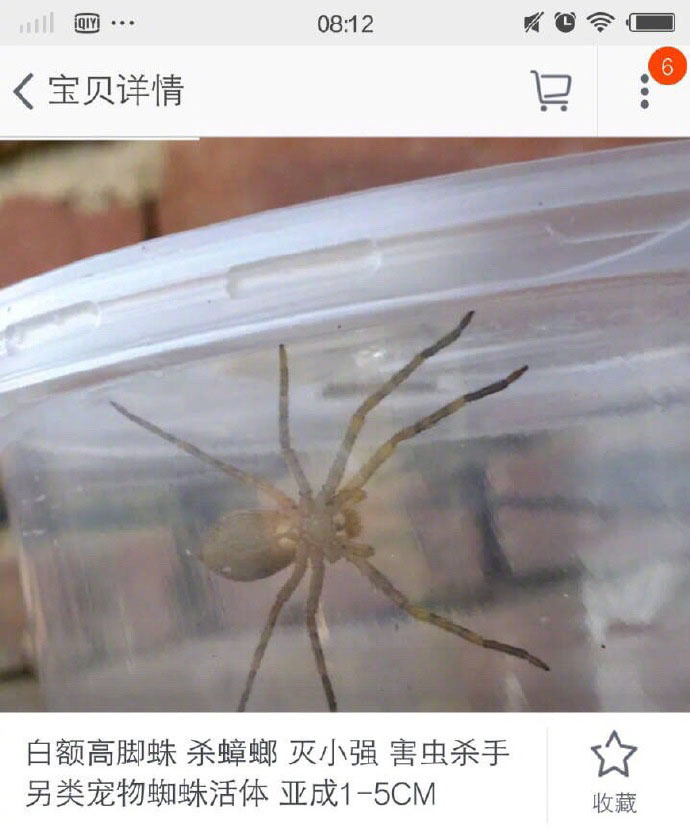 新鲜淘宝买家秀：这种买家秀真的是醉了，根本无法直视！