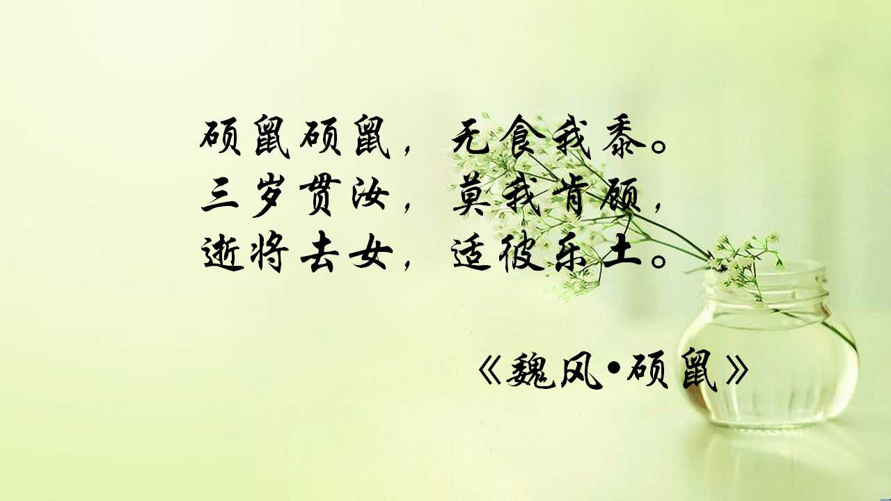 手如柔荑肤如凝脂的意思手如柔荑肤如凝脂领如蝤蛴齿如瓠犀