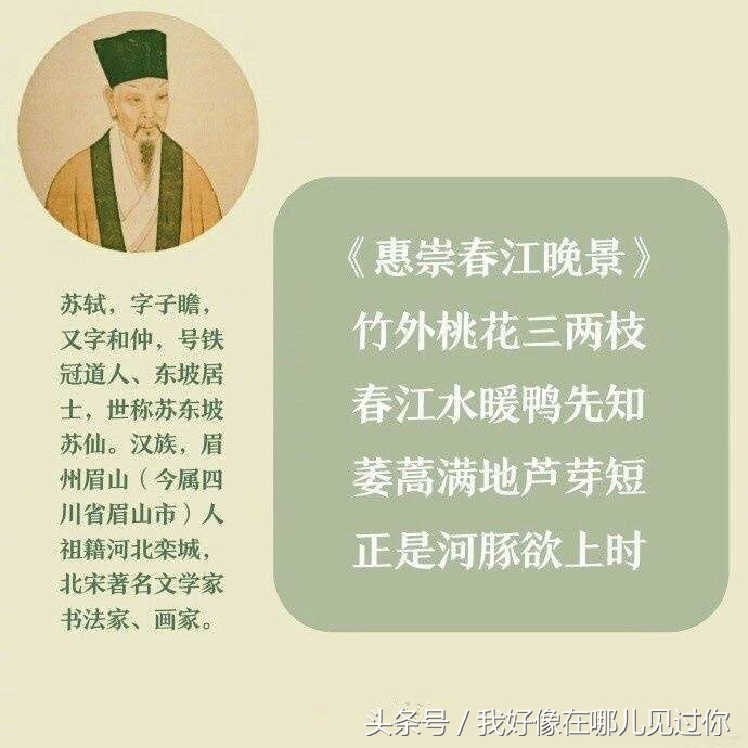苏轼的九首诗,那首诗戳中你心?