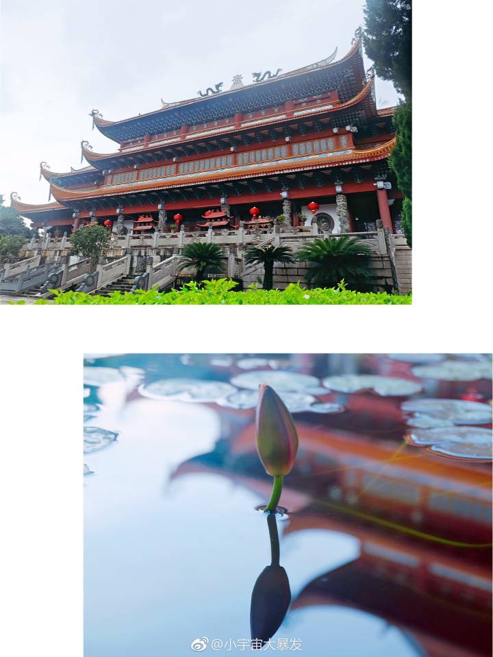 福州西禅寺：喧嚣的城市中寻求那片安宁，青灯古佛红墙寺