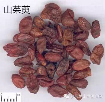枸杞子和山茱萸哪个补肝肾效果好_山萸肉补肝血