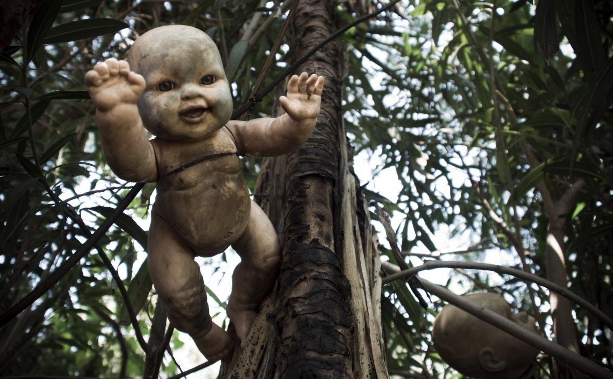恐怖慎入！墨西哥惊悚娃娃岛　数千「鬼娃」挂满树