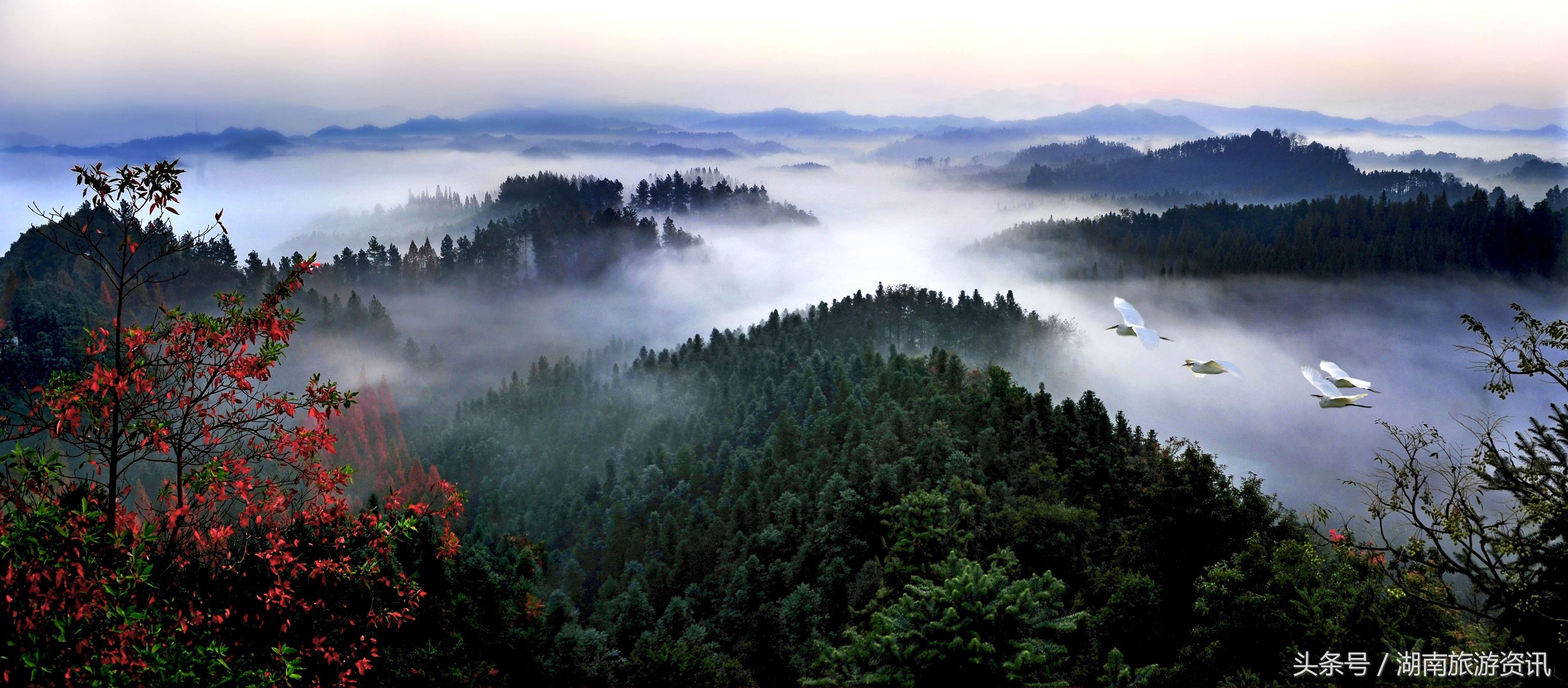 花岩溪国家森林公园地处常德城南50公里处雪峰山余脉,与桃花源同山共