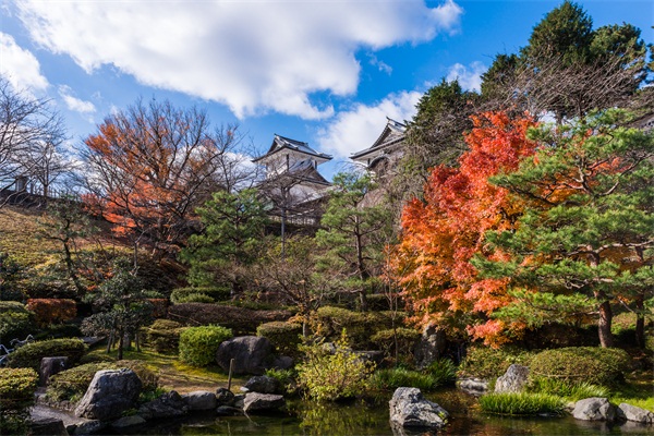 错过了樱花季，又是一年枫叶红