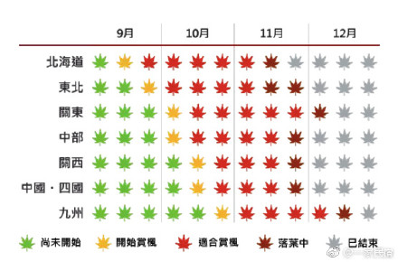 错过了樱花季，又是一年枫叶红