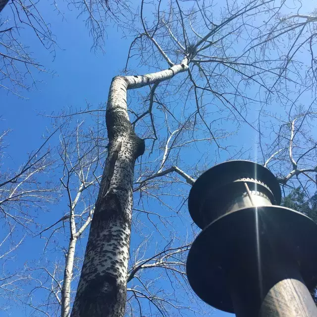 邮局开箱日｜为你收藏生命中最动人的时刻