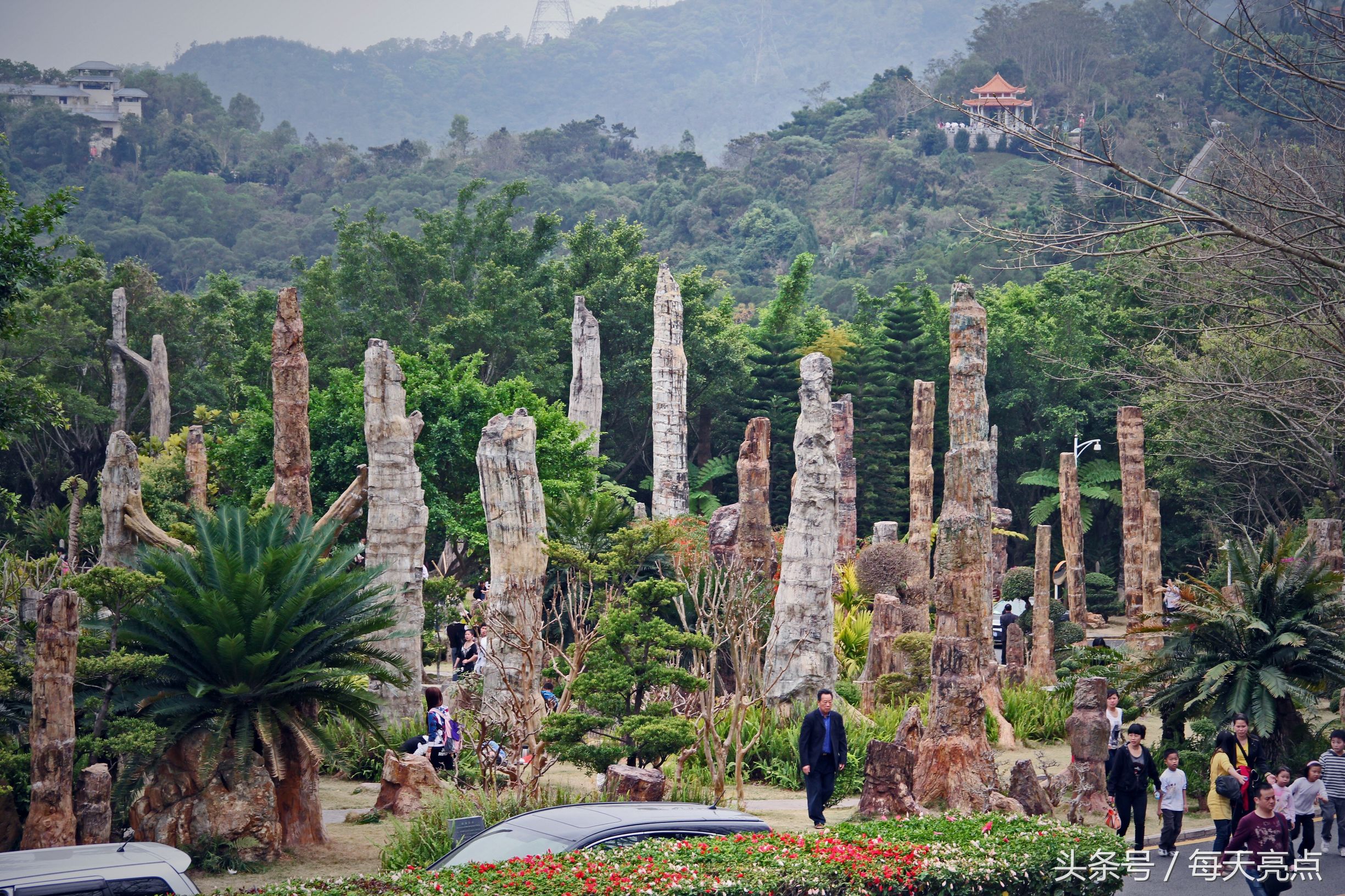 深圳旅游必去十大景点_到深圳旅游必看的八大景点 - 密云旅游