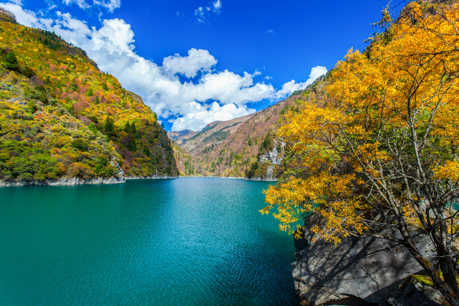 四川旅游九寨沟_九寨沟的山水很美进入九寨沟就像进入 - 密云旅游